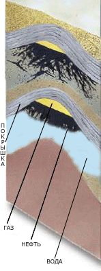 Месторождение нефти в разрезе